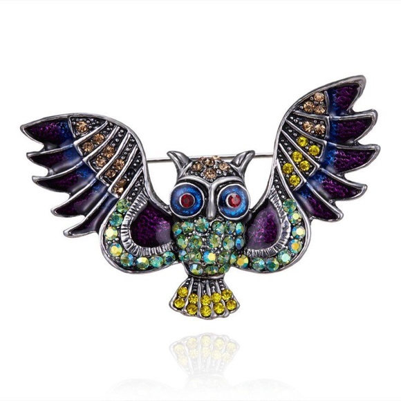 Colorful Owl Brooch - Picture 1 of 5